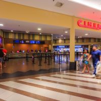 Cinema